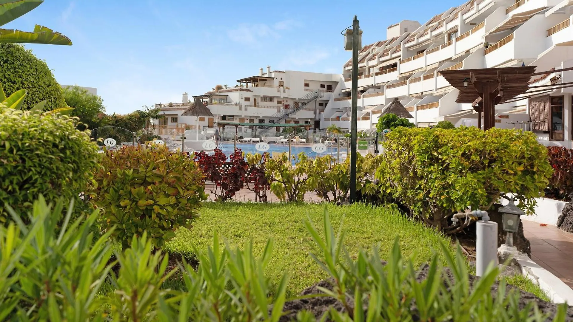 Los Geranios 88 Costa Adeje  Apartment